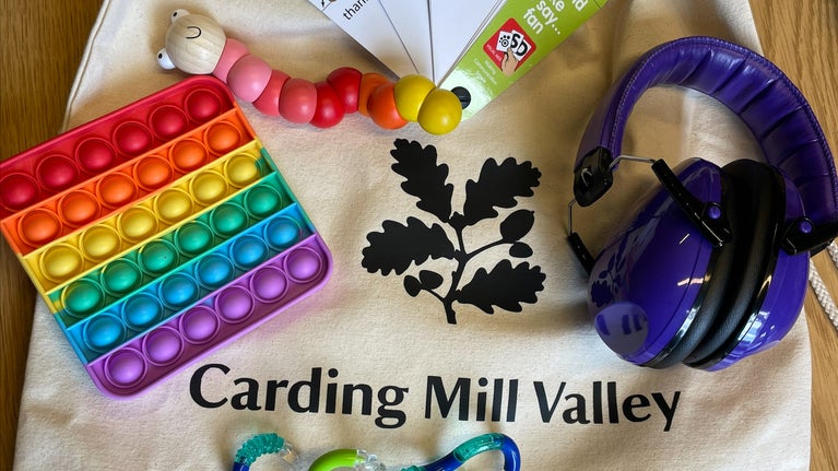 Sensory bag contents - toys, communication cards and ear defenders.